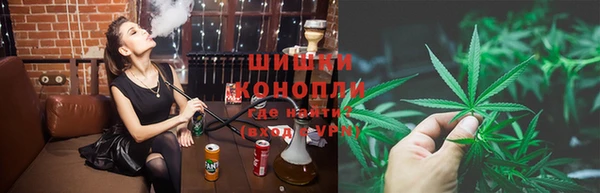 крисы Покачи