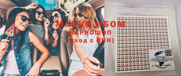 крисы Покачи