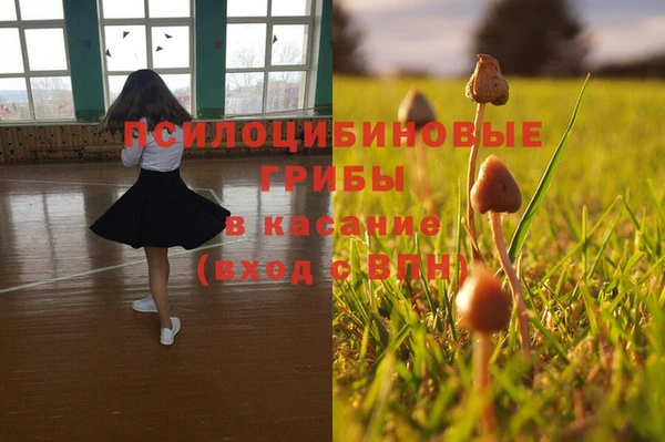крисы Покачи