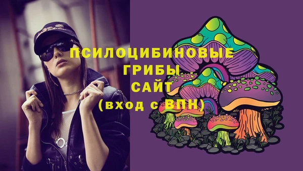 Альфа ПВП Покров