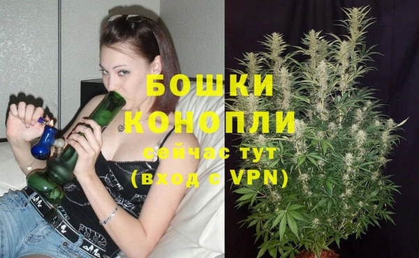 крисы Покачи