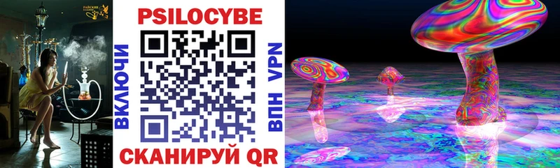 Купить где  Чистополь  Галлюциногенные грибы мицелий 